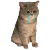 Triste sad 7