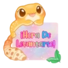 🦎💕Gecko Aurora💕🦎 29