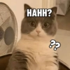 HAHH?
88