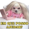 EM QUE POSSO
AJUDAR?