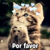Payi
Por favor