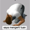 saya mengerti tuan