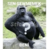 SEN SEWMEMEK
Sticky
BENİ