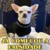 501
Panga
00
JÁ COMEÇOU A
FALSIDADE