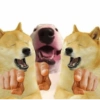 Memes 9