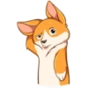 Cute dog 7