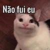 Não fui eu
kwejk