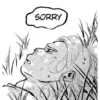 SORRY