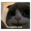 Kucing lucu 12
