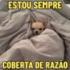 ESTOU SEMPRE
COBERTA DE RAZÃO