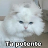 Ta potente