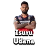 RCB (Bangalore) (IPL) 9
