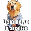 Dejame yo lo analizo