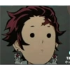 Demon slayer 15