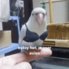 Memes pa' ligar 1 9