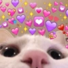 💕USA COM SEU CRUSH💕 10