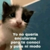 Memes solo para ti 1 🥵😍😎 13