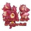 Volta as aulas 22