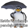 💢🐧Pingüinos Shitpost II🐧💢 8