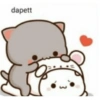 dapett
3