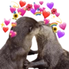MASCOTAS AMOROSAS 💕💓 14