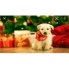 Gatos de navidad y de perros 7
