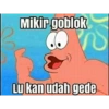 Patrick 27
