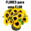 FLORES para
uma FLOR
S