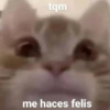 Memes solo para ti 1 🥵😍😎 14