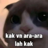 kak vn ara-ara
lah kak