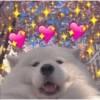 Explosão de amor 13