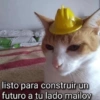 Memes solo para ti 1 🥵😍😎 10