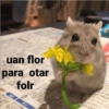 Animalitos Anti-depresivos 3 😼 7