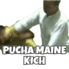 PUCHA MAINE
KICH