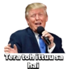 Donald Trump 9