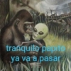tranquito papito
ya va a pasar
INTER