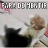 PARA DE MENTIR