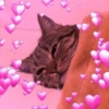 Stickers de Dabi 25
