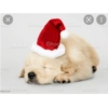 Gatos de navidad y de perros 12