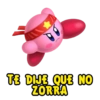 TE DIJE QUE NO ZORRA