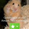 Randomcitos Para Tu Chat 🧬 14