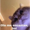 Gatos Cura depresión 😽💕 4
