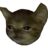 Memes and chaos 20