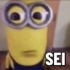 SEI