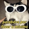 Pets, memes e reações 🐶 11