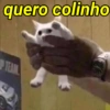 quero colinho