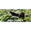 NAH CEKMEK