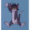 Tom and jerry 15
