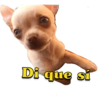 Di que si