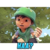 HAA?